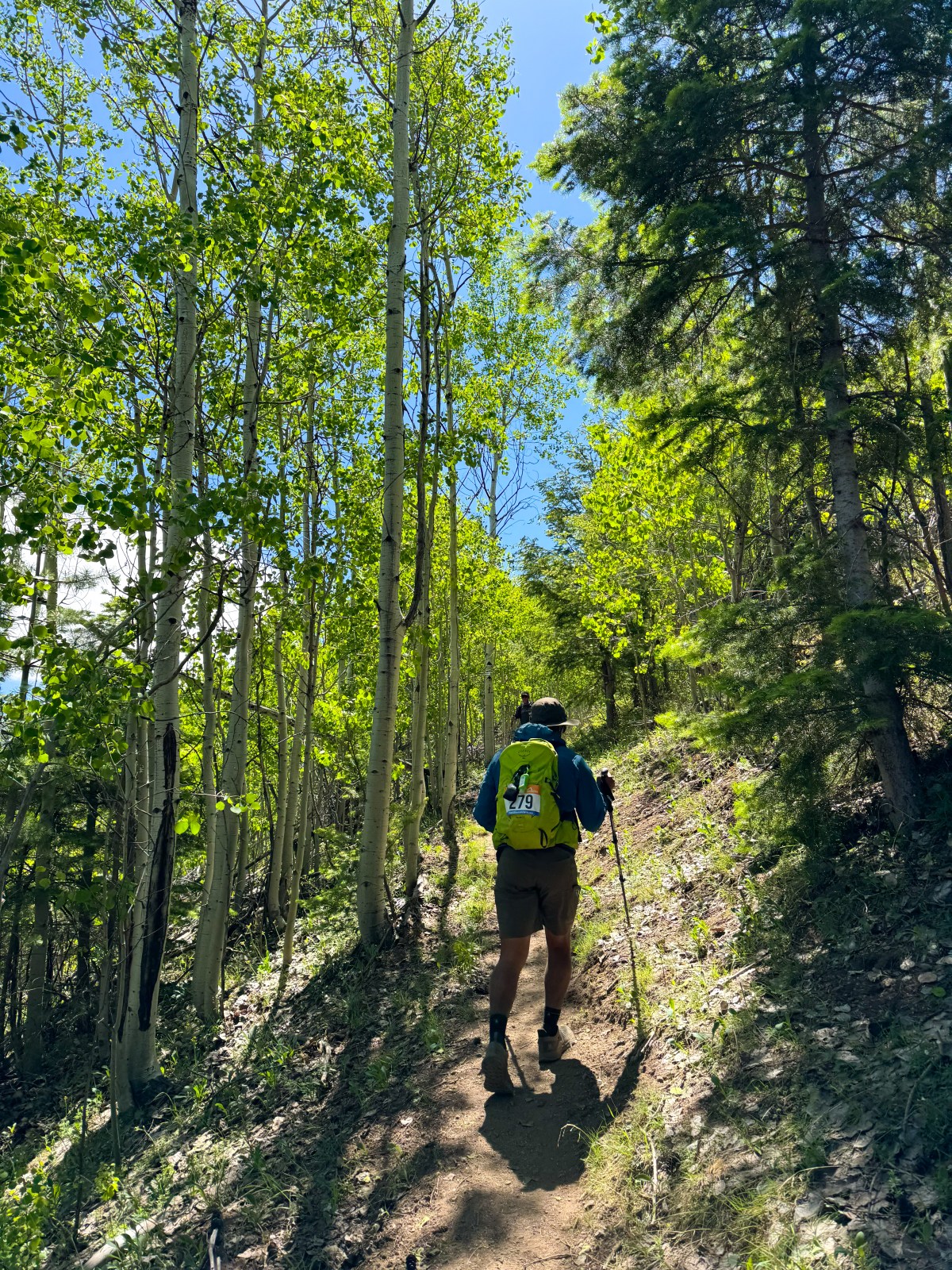 Sierra Vista Sky Islands Summit Challenge in the Huachuca Mountains