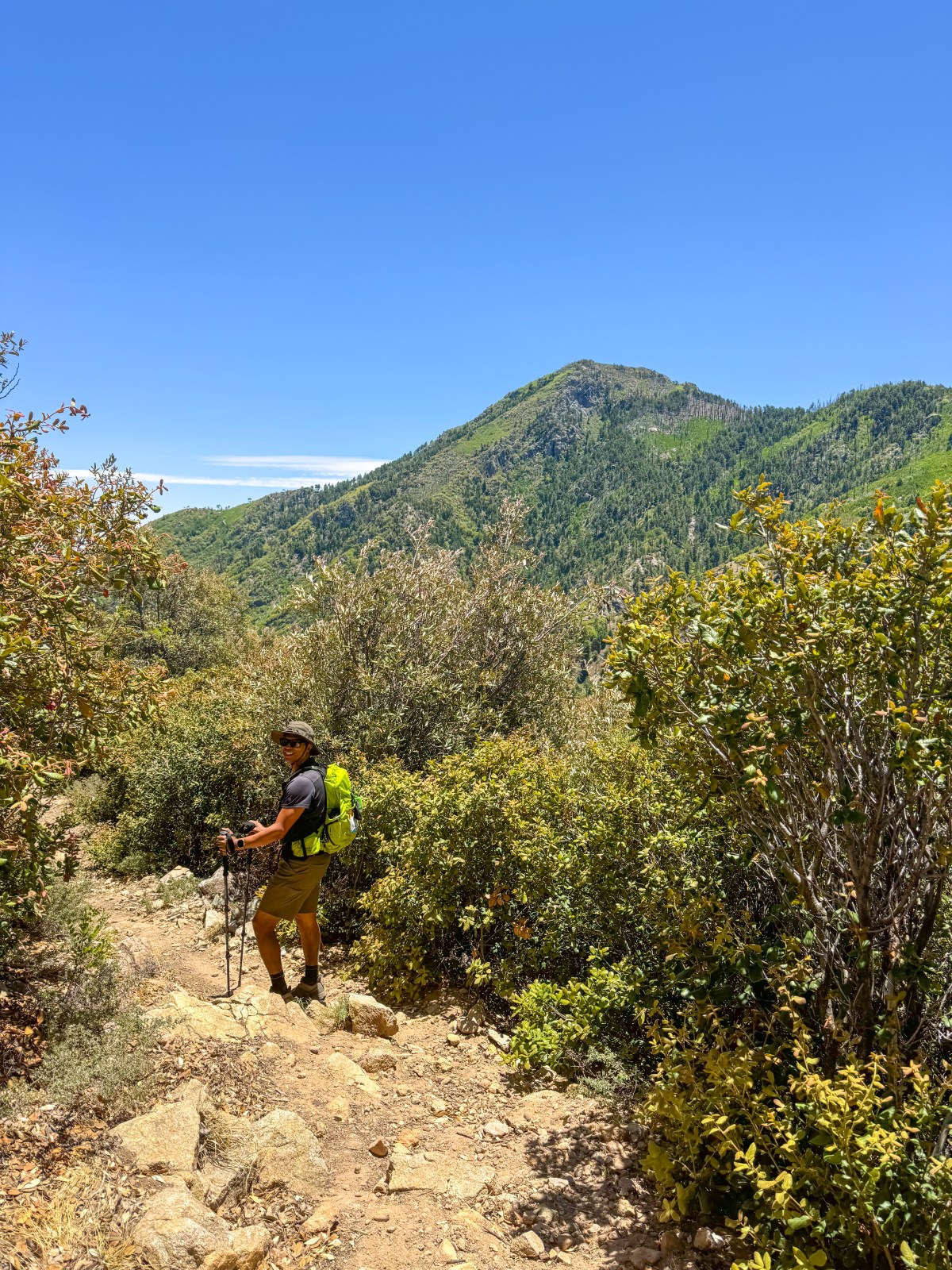 Sierra Vista Sky Islands Summit Challenge in the Huachuca Mountains