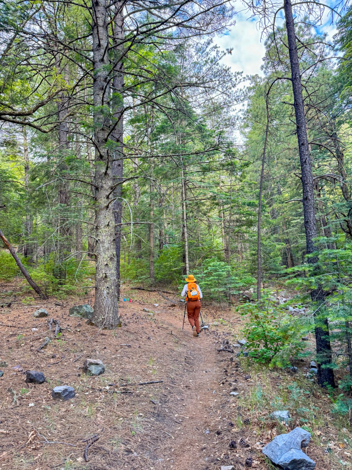 Sierra Vista Sky Islands Summit Challenge in the Huachuca Mountains