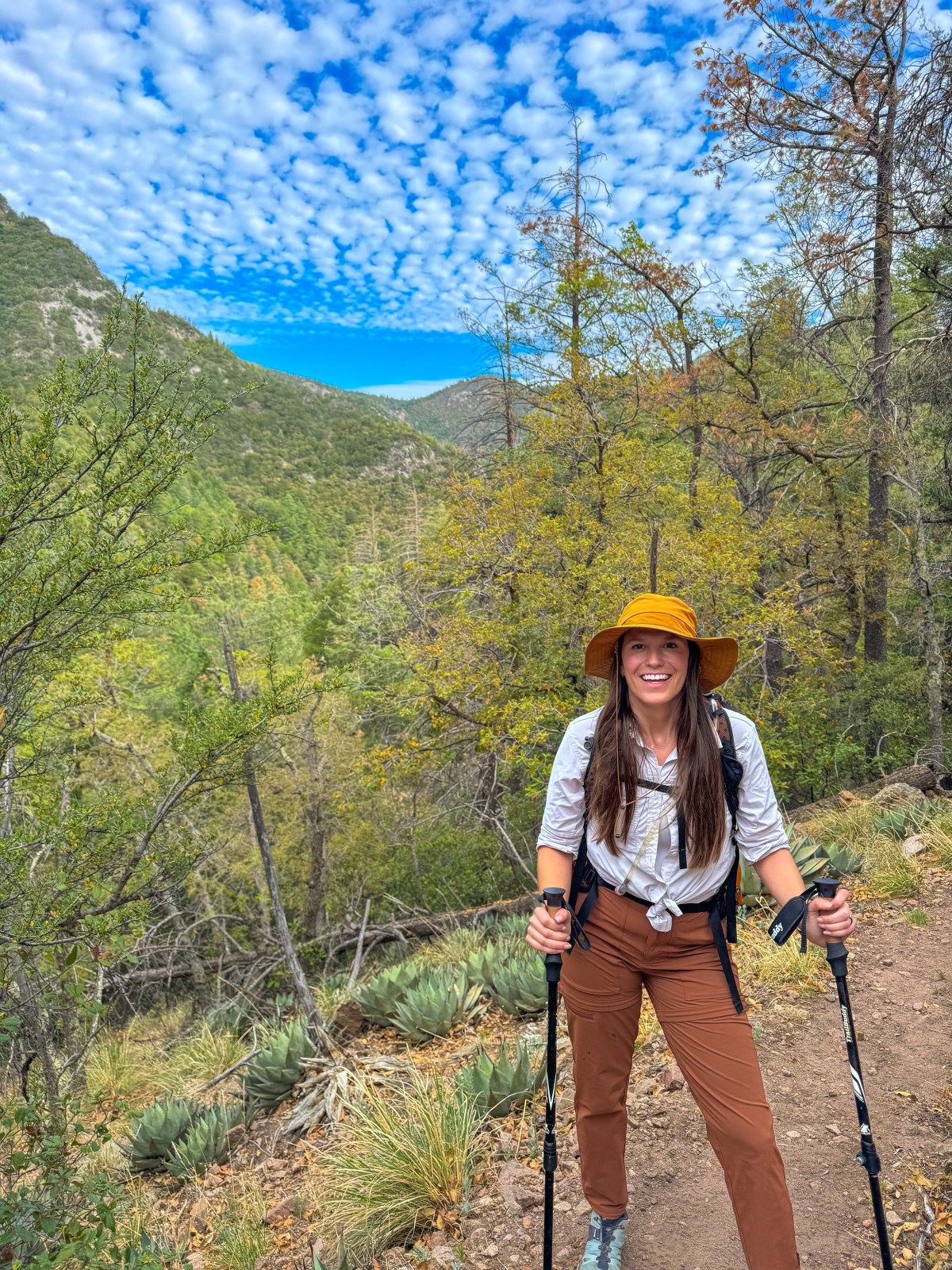 Sierra Vista Sky Islands Summit Challenge in the Huachuca Mountains