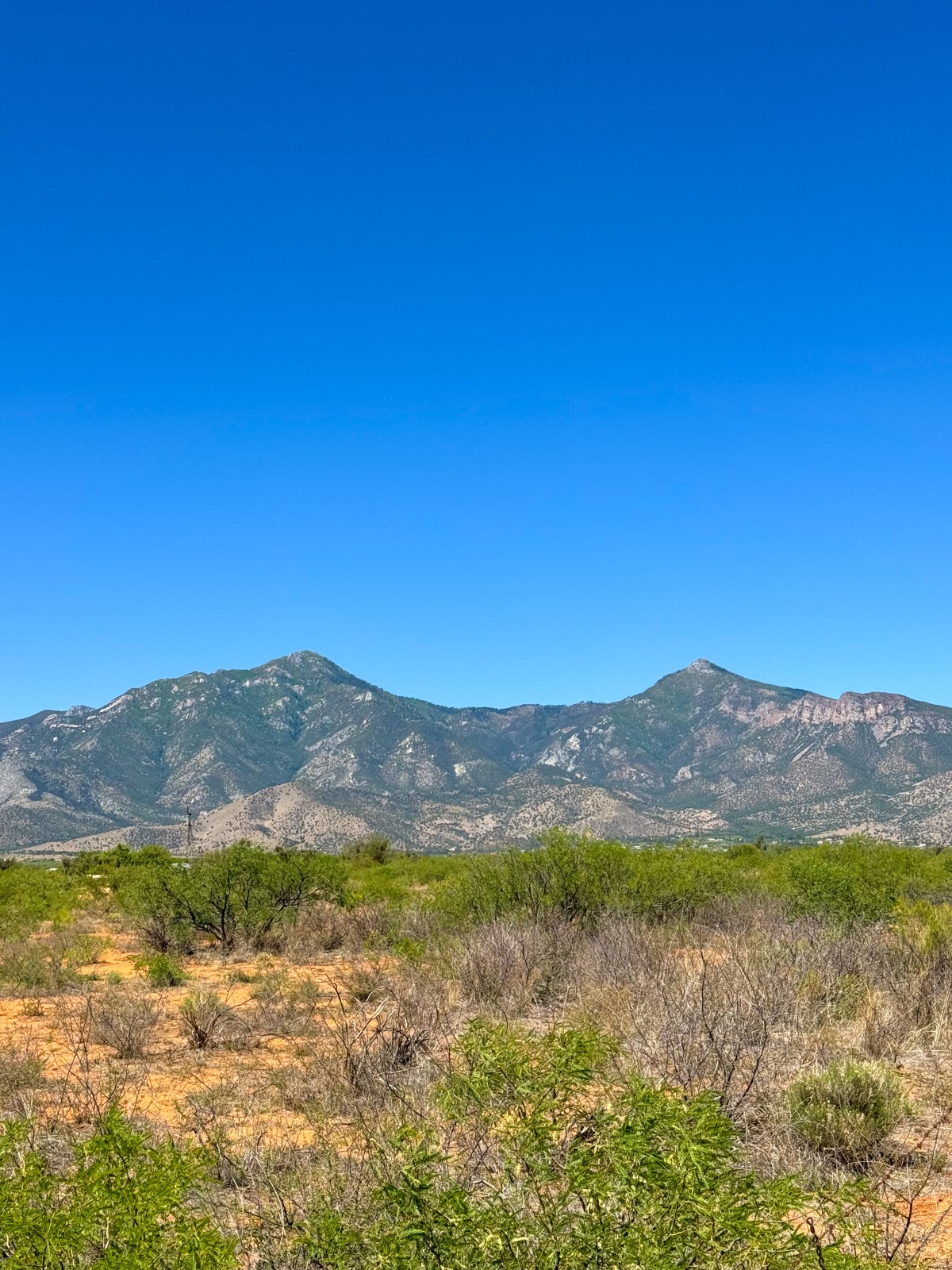 Huachuca Mountains