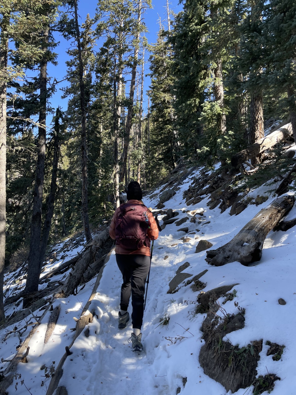 Humphreys Peak trail