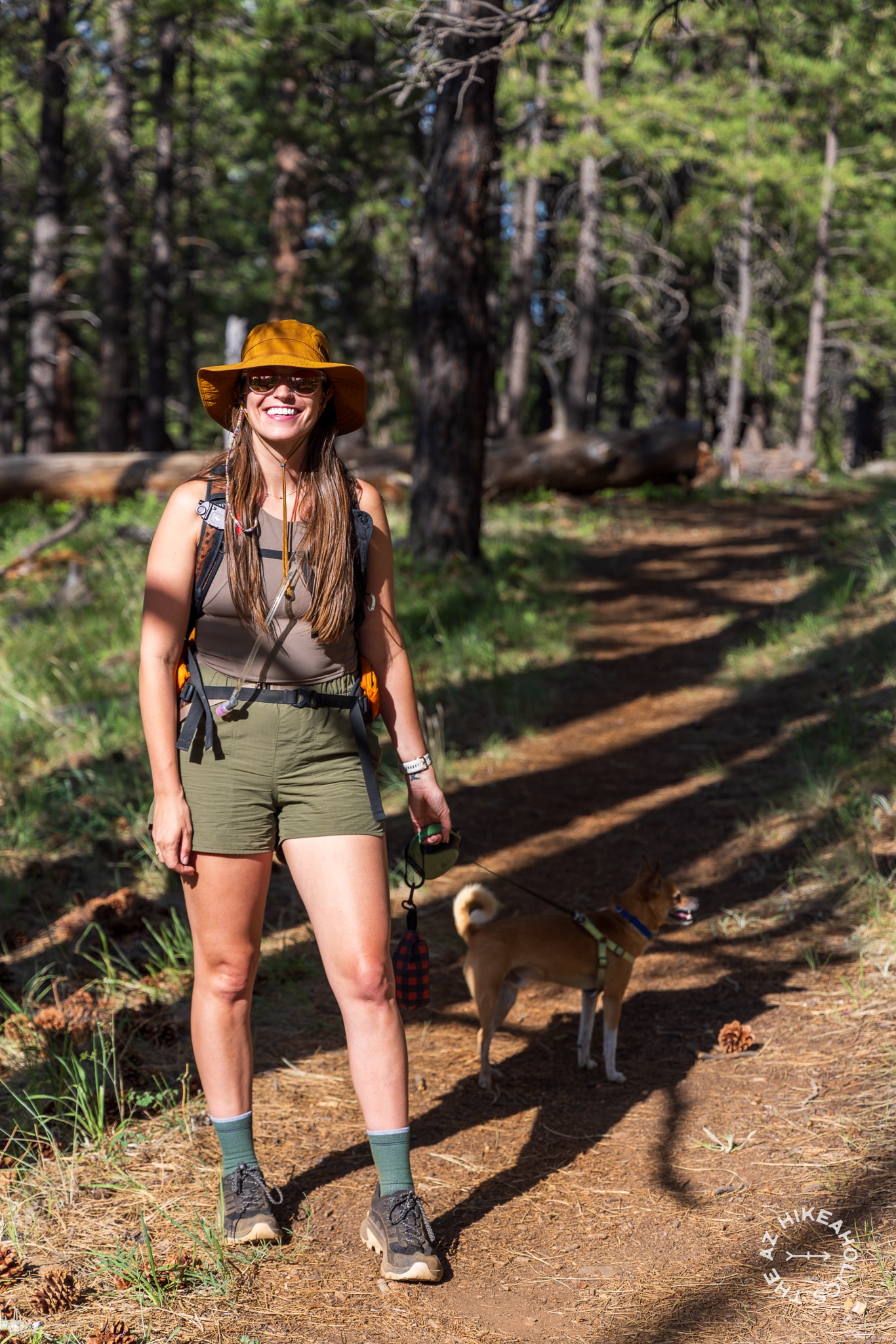 Kendrick Park Watchable Wildlife Trail in Coconino National Forest near Flagstaff, Arizona