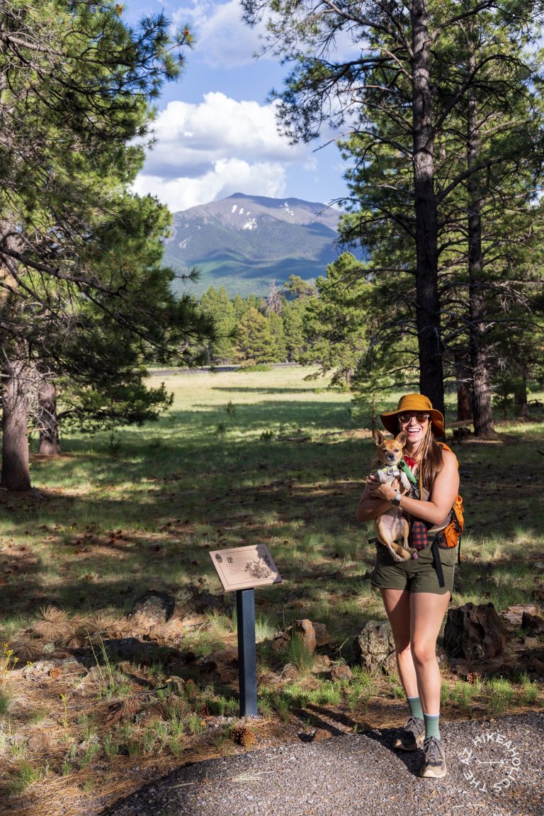 Kendrick Park Watchable Wildlife Trail in Coconino National Forest near Flagstaff, Arizona