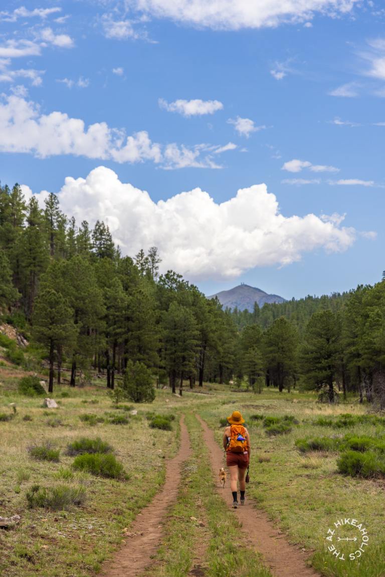 Walnut Canyon Via Sandy Canyon and Arizona Trail, Flagstaff, Arizona