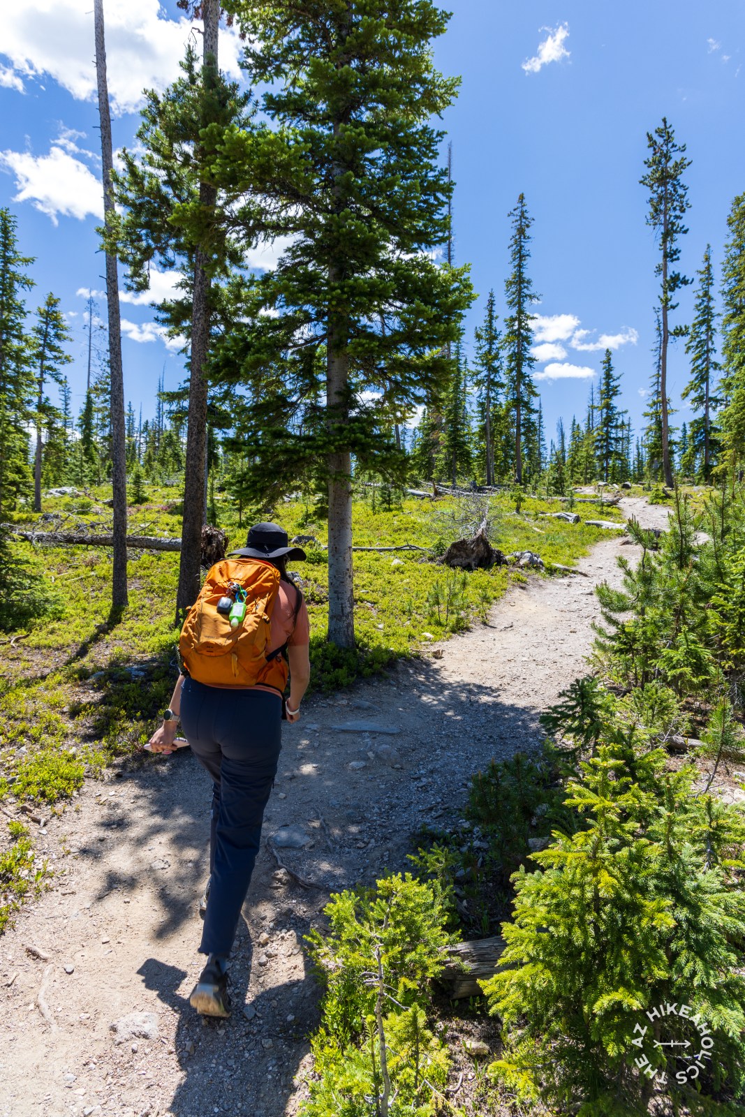 Winter Park, Colorado Rocky Mountains