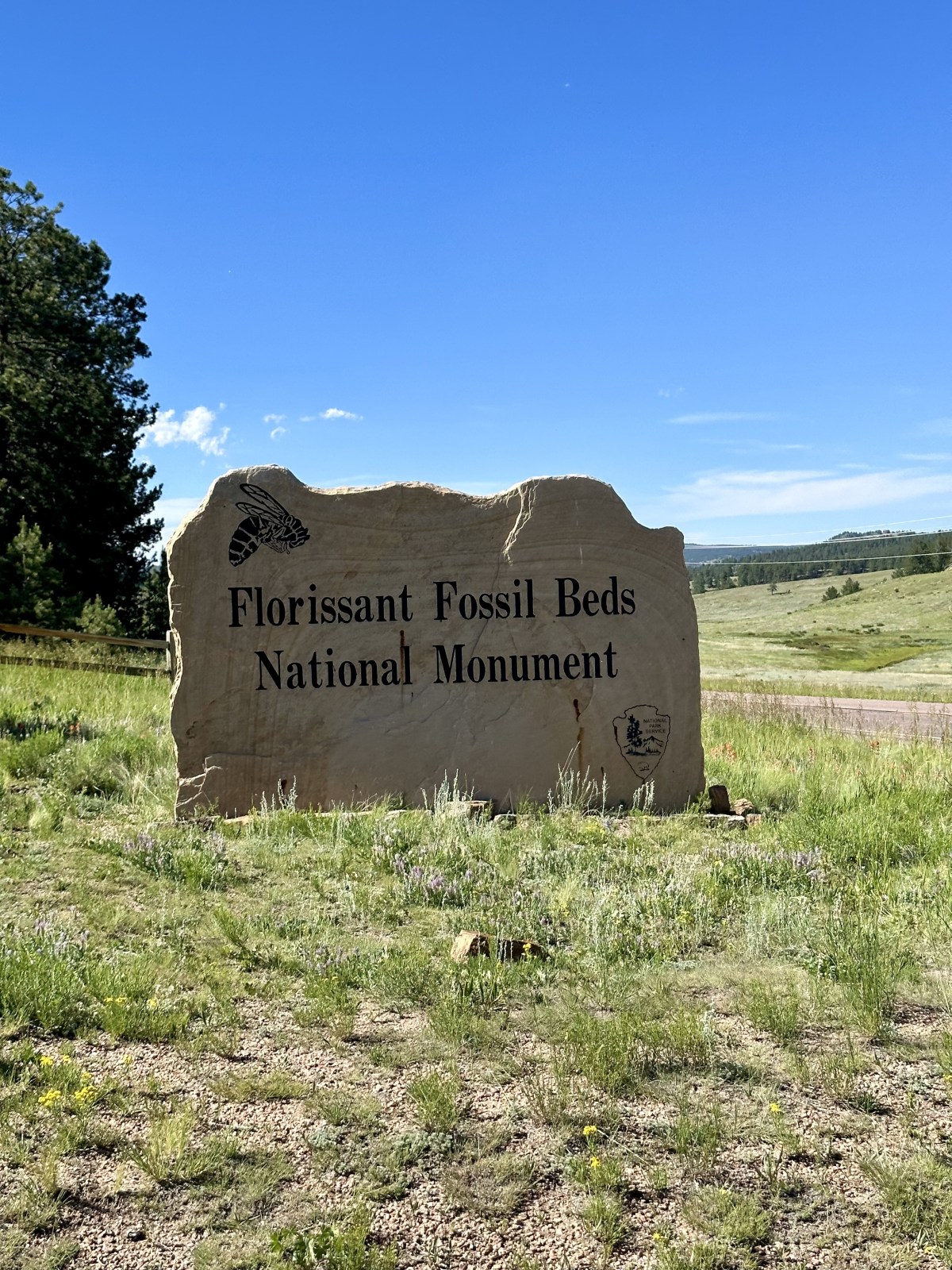 Florissant Fossil Beds National Monument, Colorado