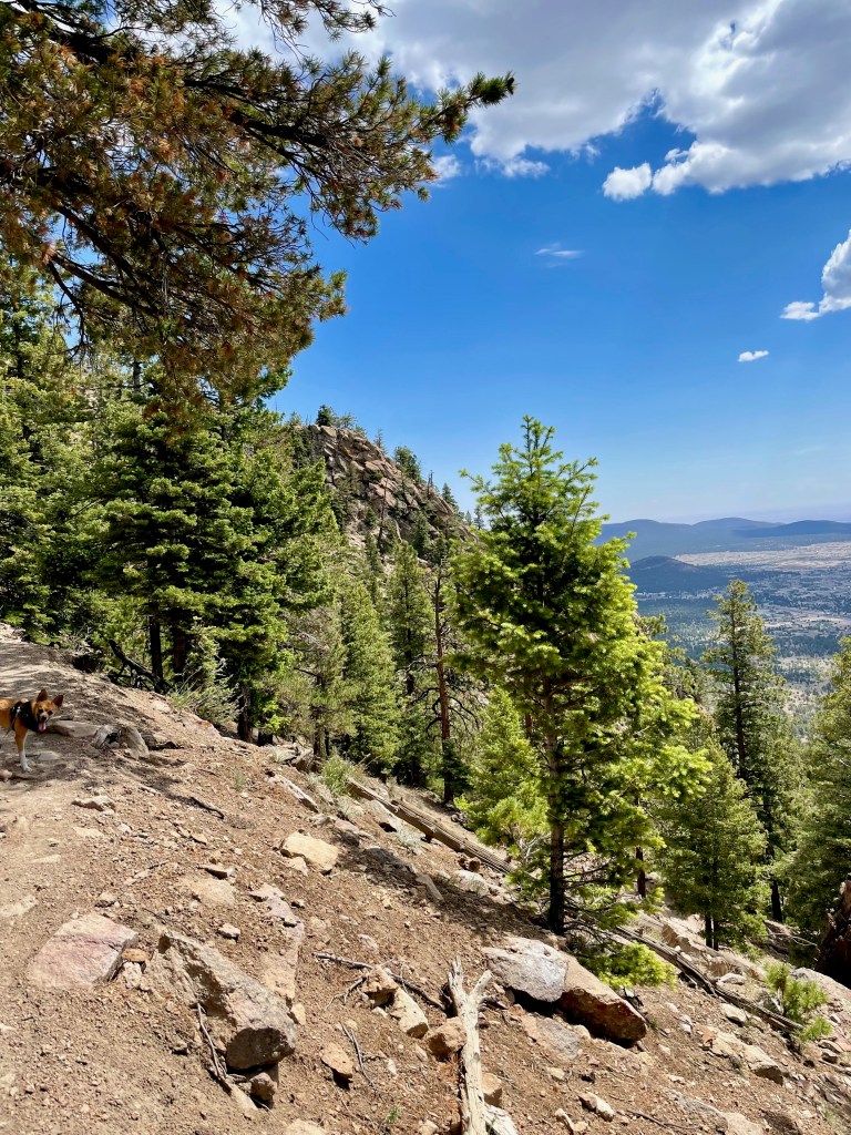 Elden Lookout Trail, Coconino National Forest, Flagstaff, Arizona