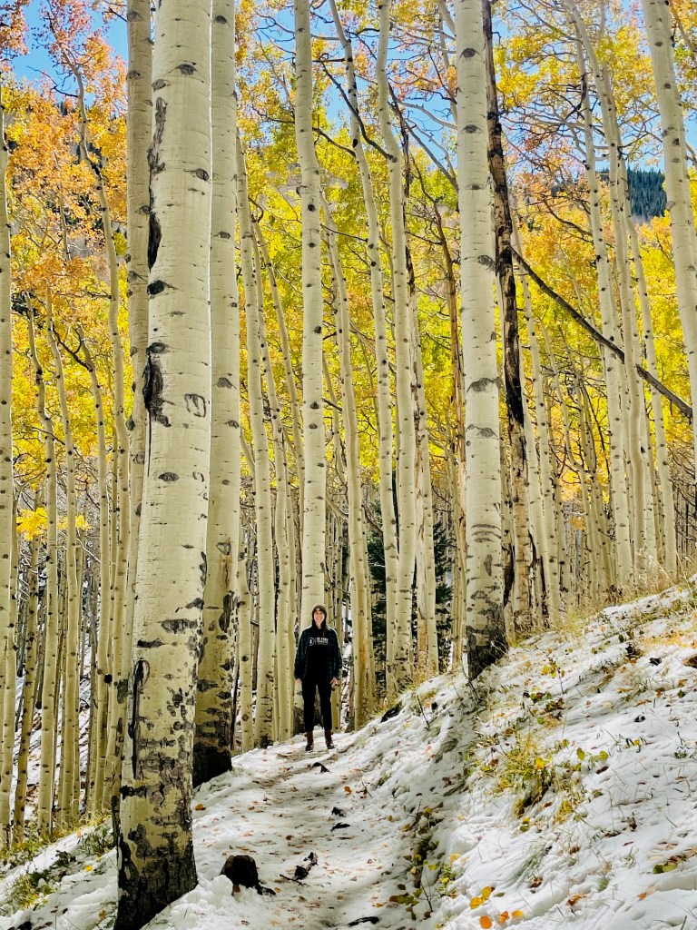 Inner Basin Trail, Coconino National Forest, Flagstaff, Arizona