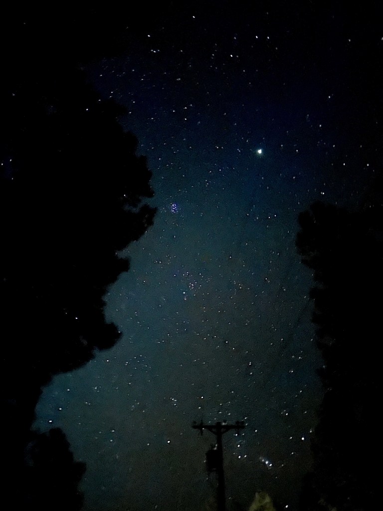Lakeview Campground, Coconino National Forest, Flagstaff, Arizona