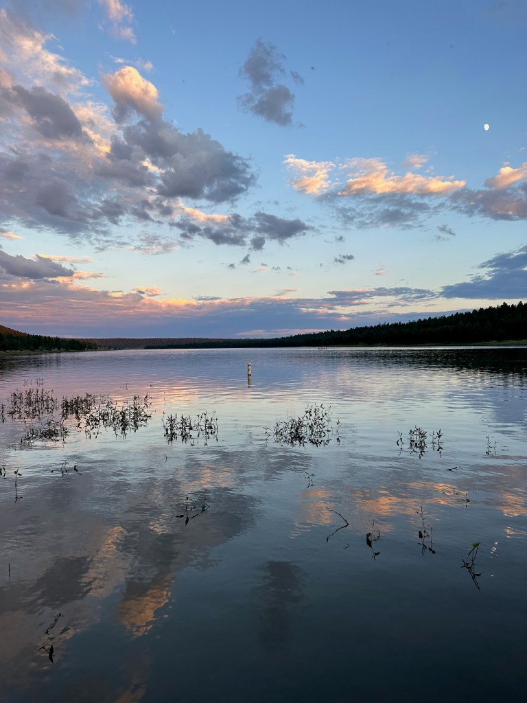 Lower Lake Mary, Coconino National Forest, Flagstaff, Arizona