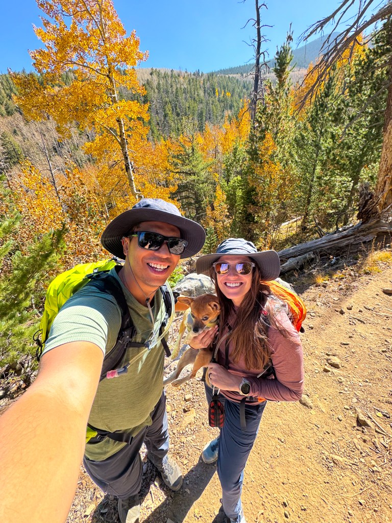 Abineau Trail to Bear Jaw trail in Coconino National Forest near Flagstaff, Arizona