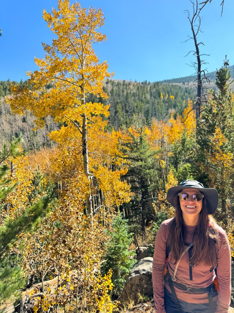 Abineau Trail to Bear Jaw trail in Coconino National Forest near Flagstaff, Arizona