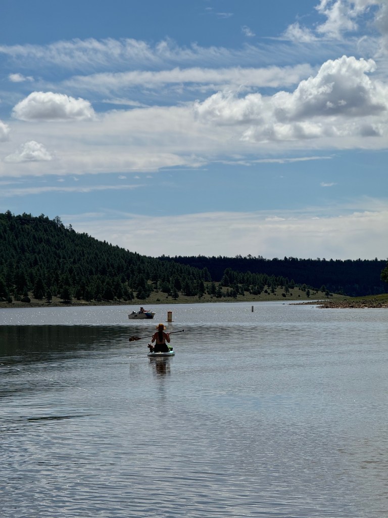 Lower Lake Mary, Coconino National Forest, Flagstaff, Arizona