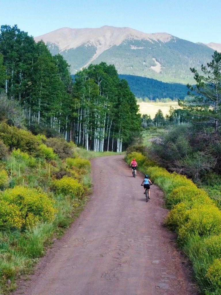 Mountain biking near Flagstaff, Arizona - Hart Prairie Loop of Coconino National Forest