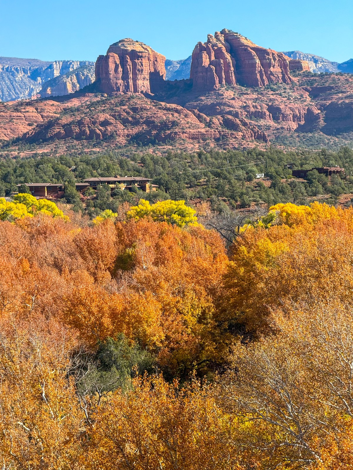 Arizona Fall Colors - Red Rock State Park, Sedona