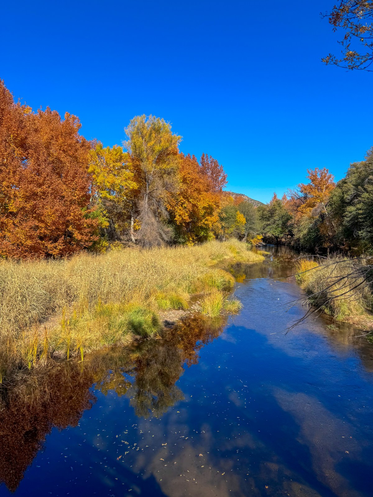 Arizona Fall Colors - Red Rock State Park, Sedona