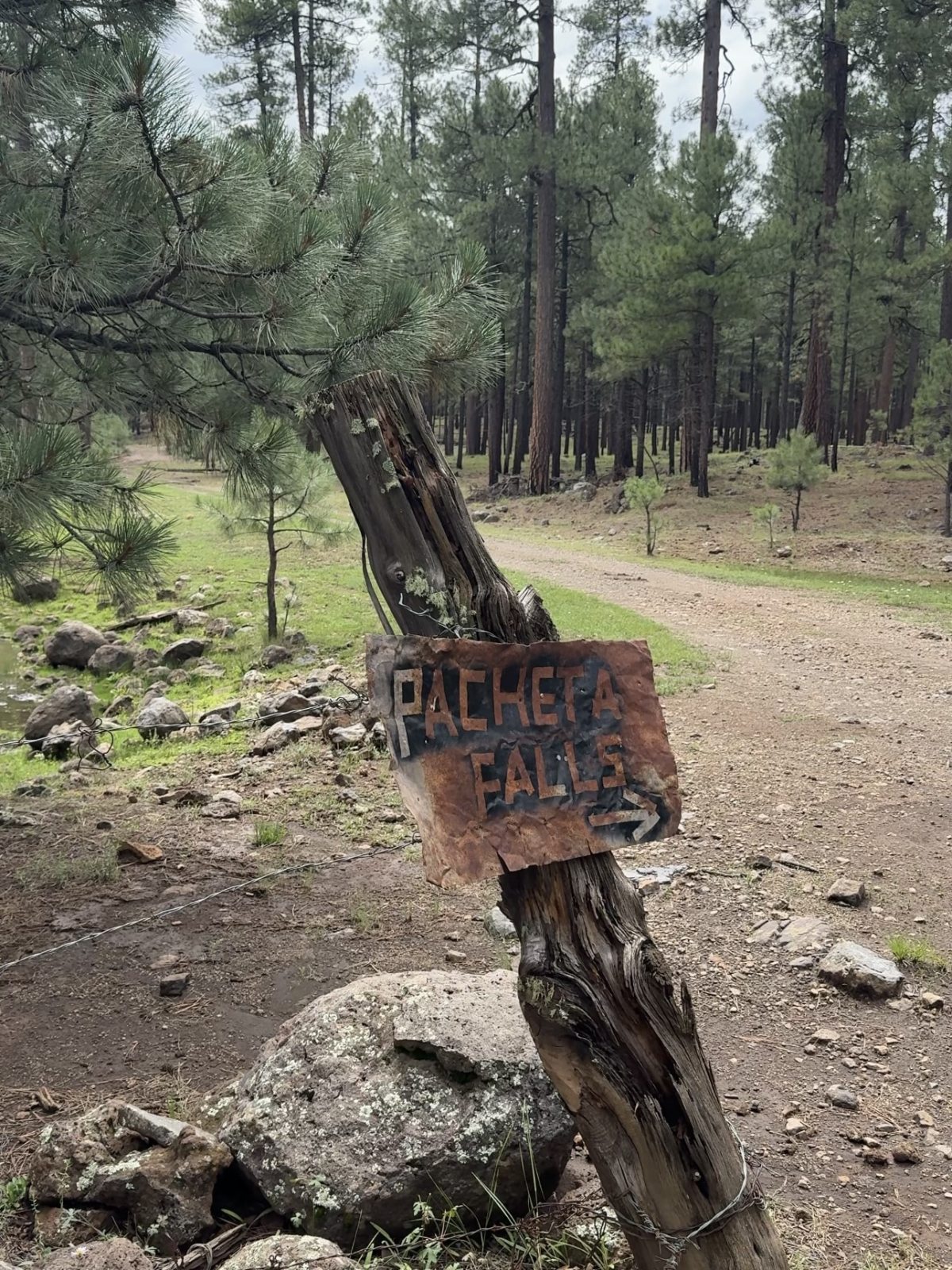 Sign to Pacheta Falls, White Mountain Apache Reservation, Arizona