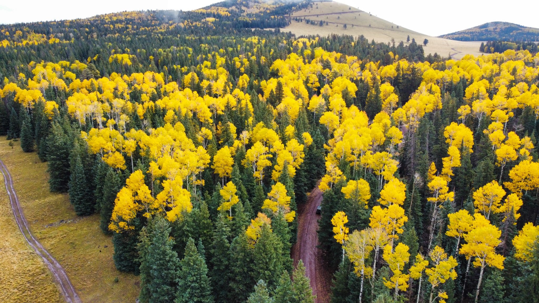 Arizona Fall Colors: When and Where to See Them