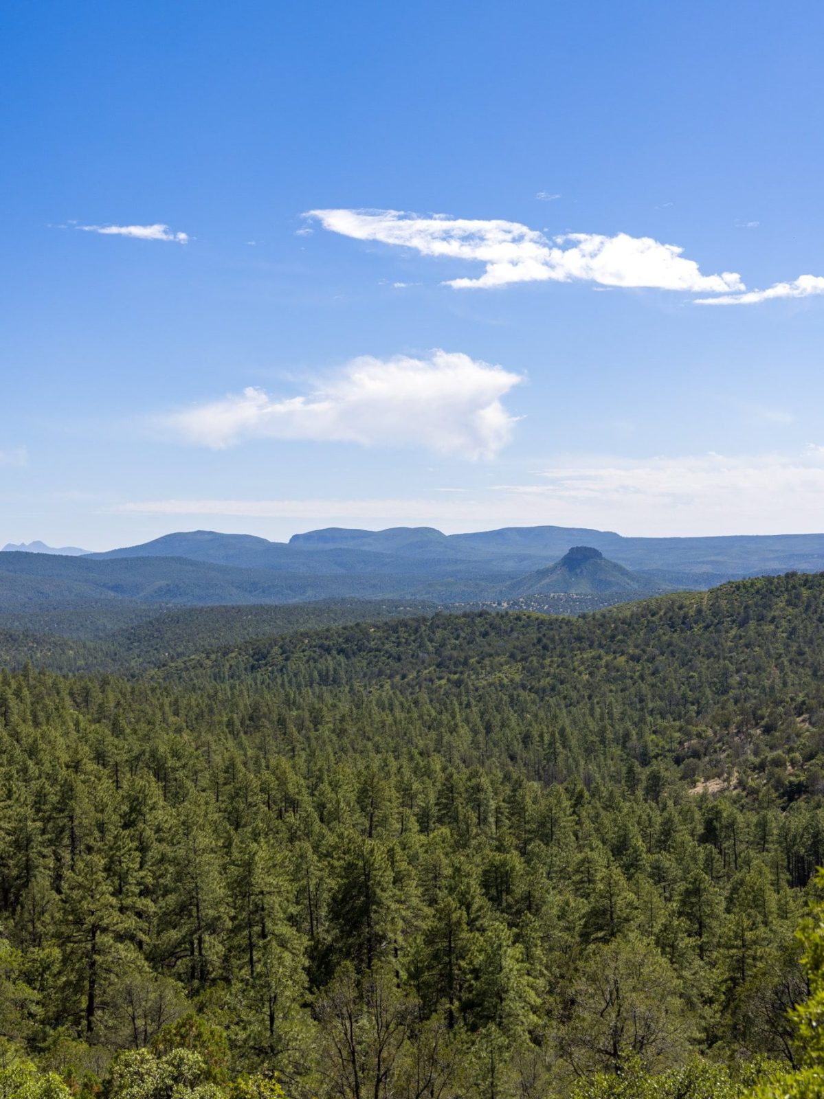 Desert to Tall Pines National Scenic Byway, Arizona State Route 188, Young Highway