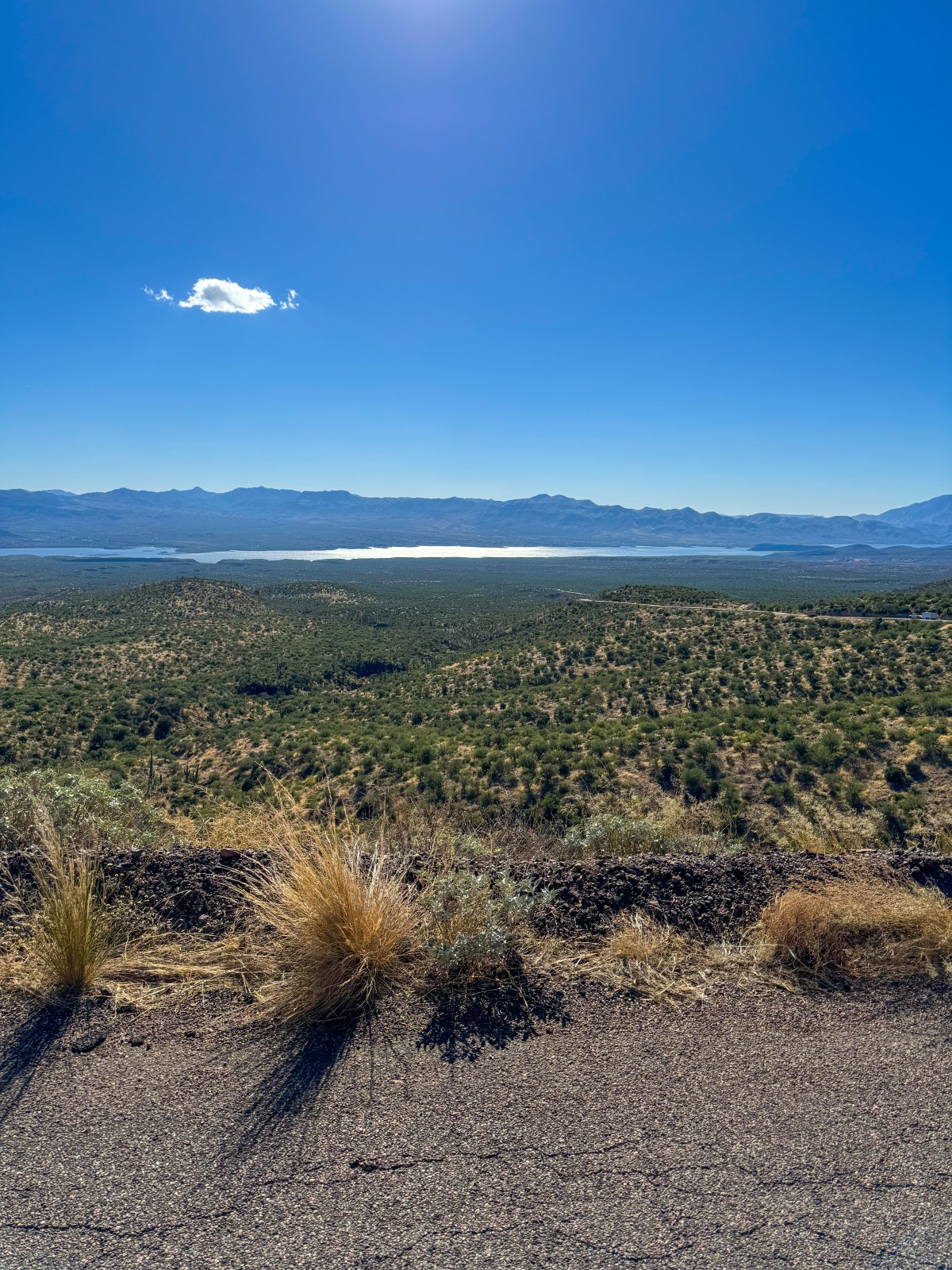 Desert to Tall Pines National Scenic Byway, Arizona State Route 188, Young Highway