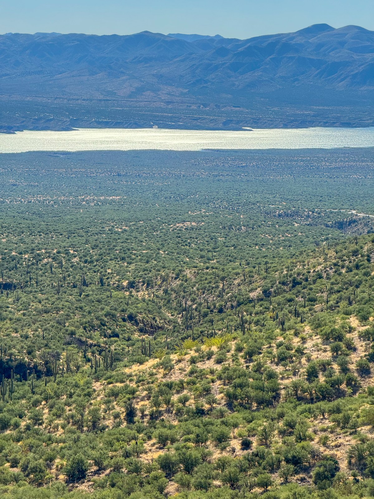 Desert to Tall Pines National Scenic Byway, Arizona State Route 188, Young Highway