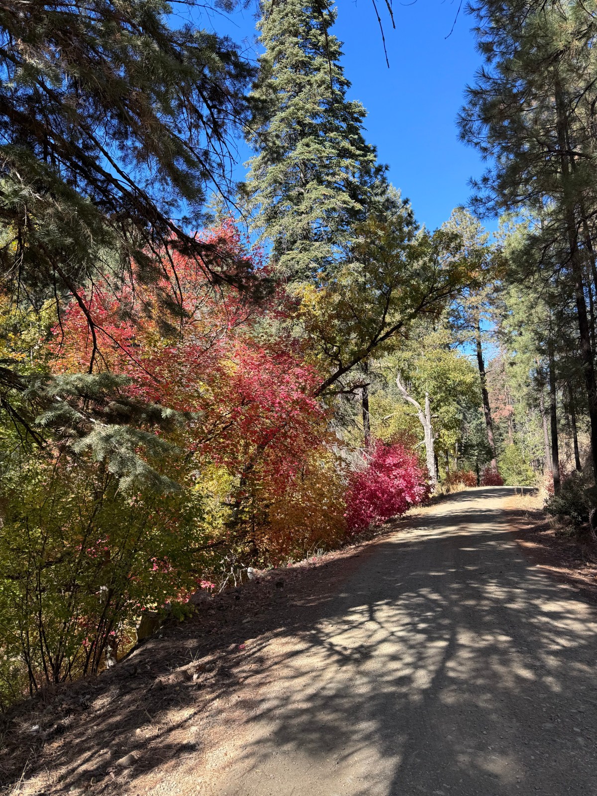 Workman Creek, Sierra Ancha Mountains, Tonto National Forest