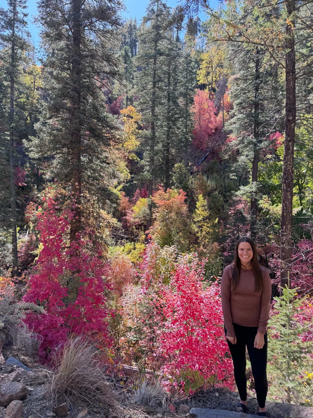 Workman Creek, Sierra Ancha Mountains, Tonto National Forest