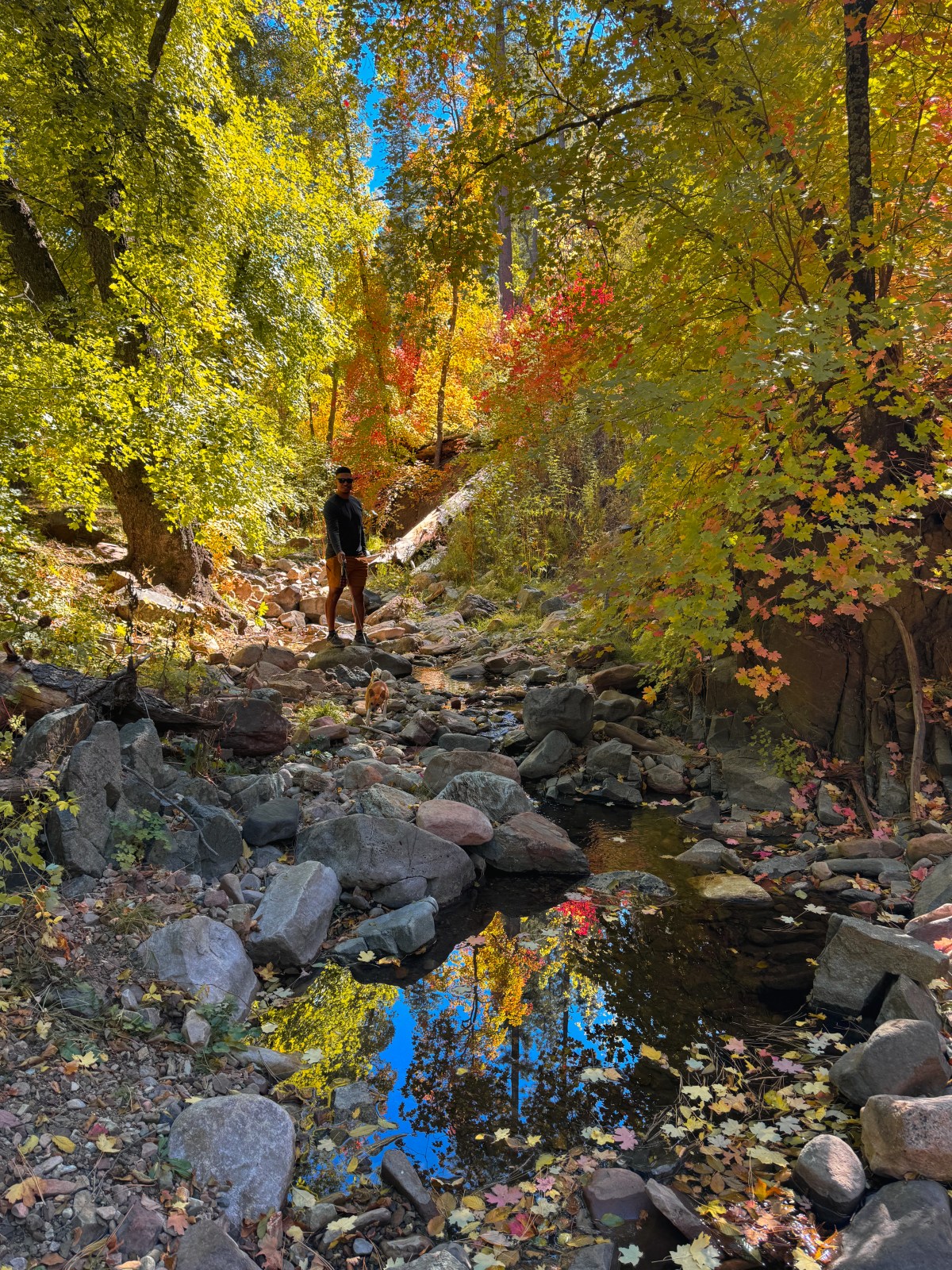 Workman Creek, Sierra Ancha Mountains, Tonto National Forest