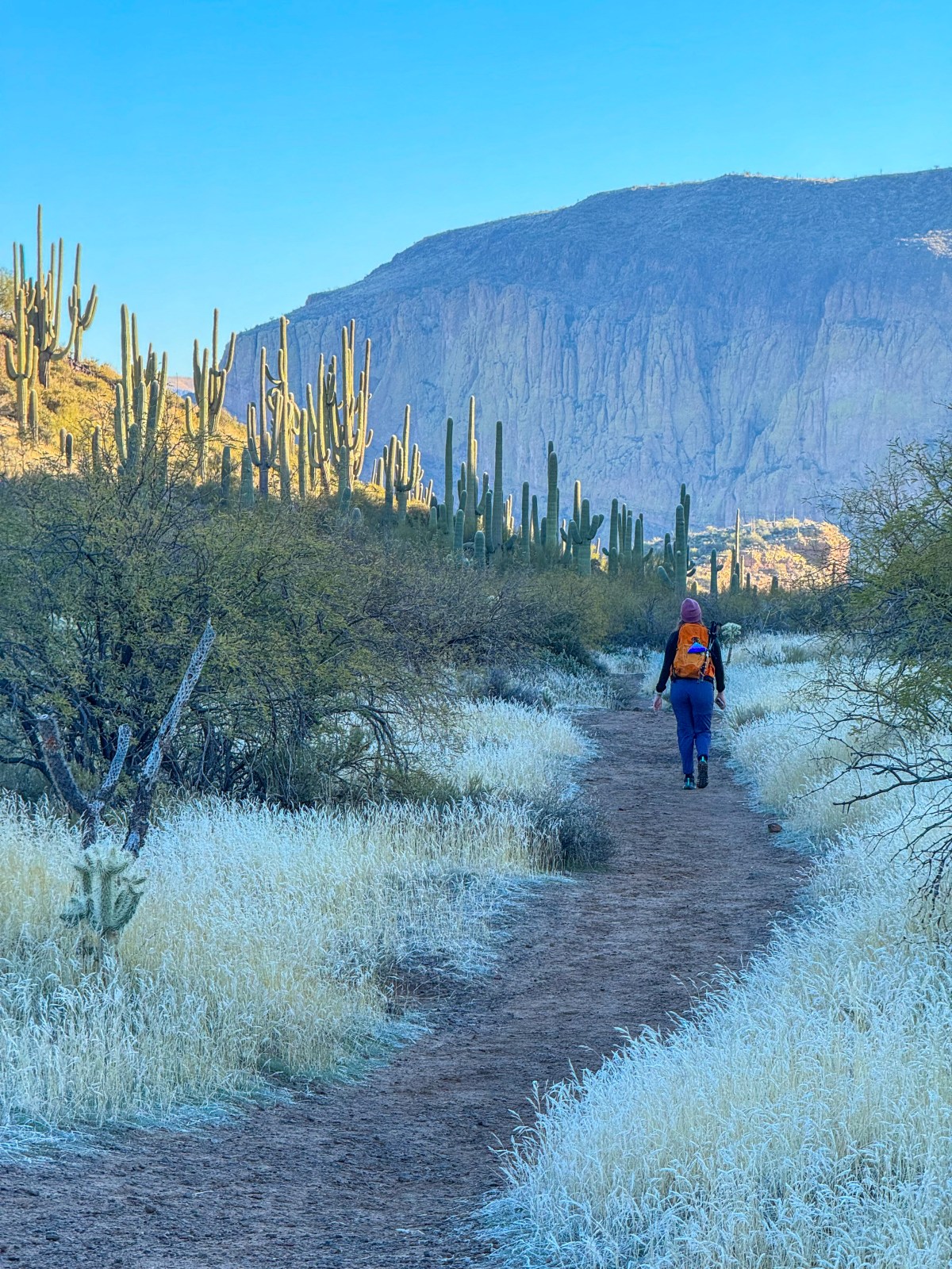 Second Water Trail in the Superstition Wilderness. Hike to Battleship Mountain Scramble