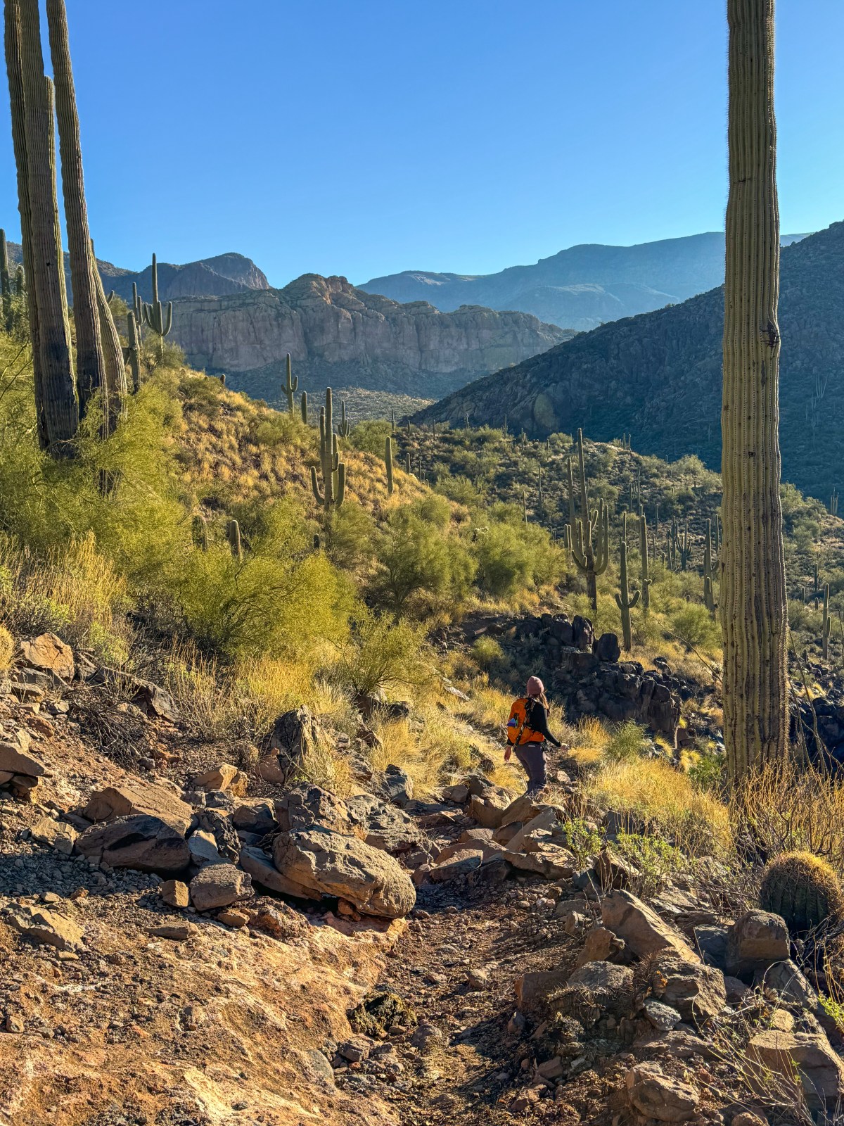Second Water Trail in the Superstition Wilderness. Hike to Battleship Mountain Scramble