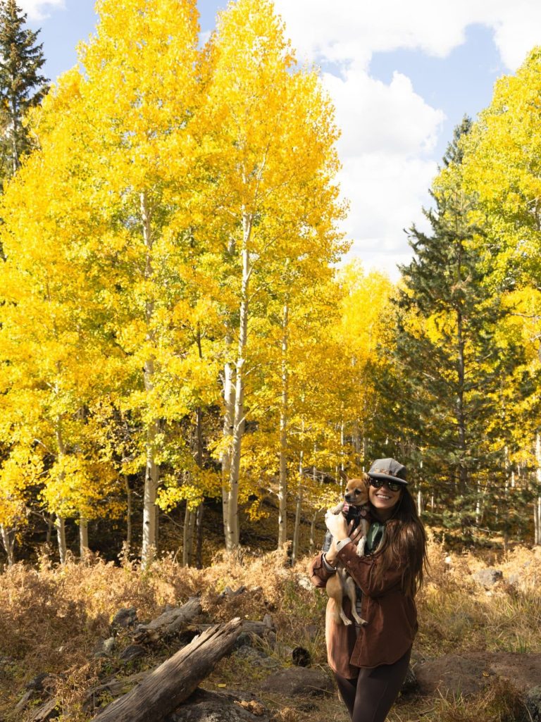 Photos from 10/15/24