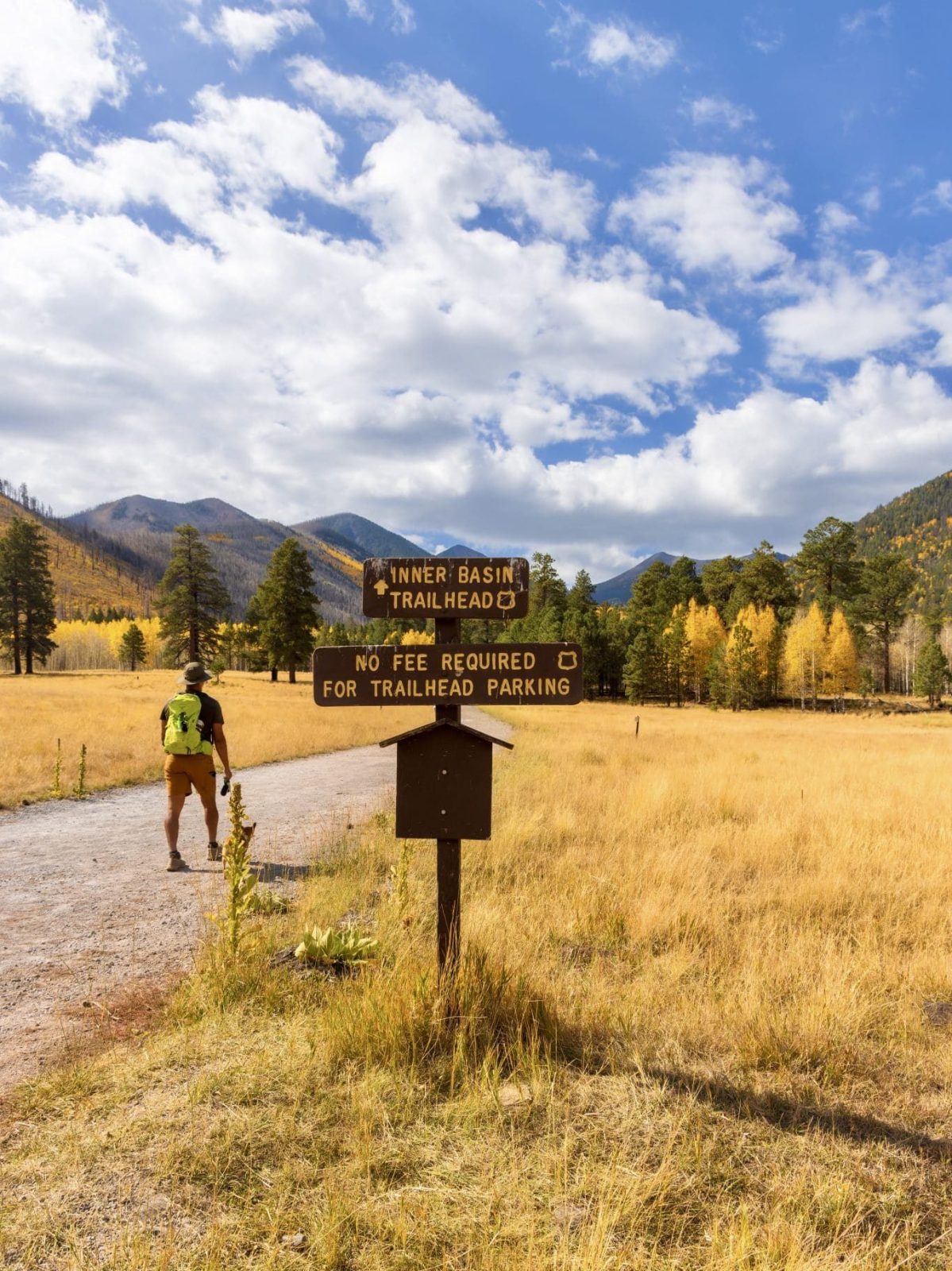 Inner Basin Trail, Coconino National Forest, Flagstaff, Arizona