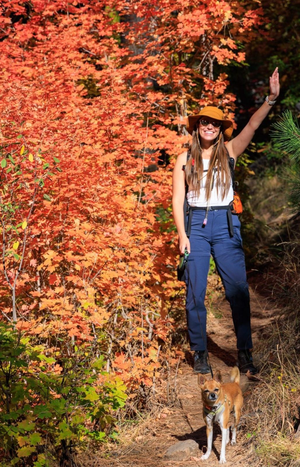See Canyon Trail #184, Tonto National Forest, Mogollon Rim, Arizona
