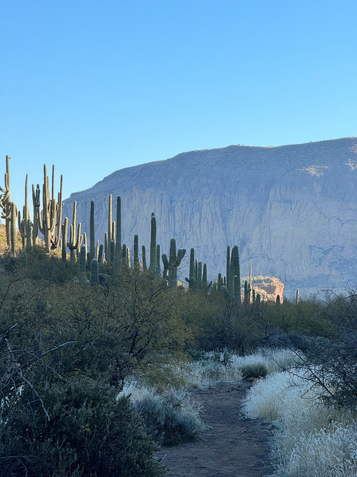 Second Water Trail in the Superstition Wilderness. Hike to Battleship Mountain Scramble