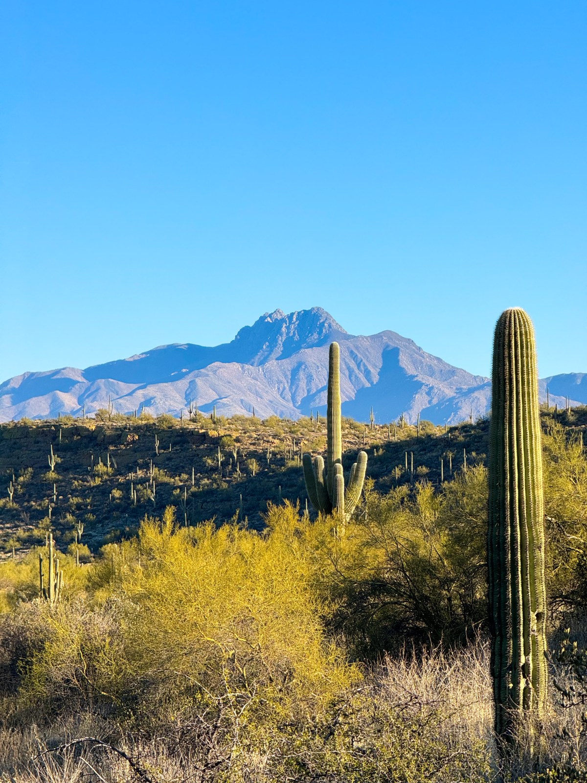 Second Water Trail in the Superstition Wilderness. Hike to Battleship Mountain Scramble