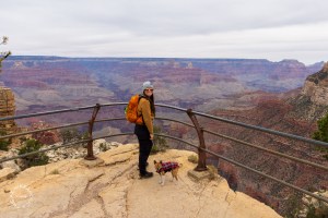 Grand Canyon Rim Trail Pet Friendly Hike