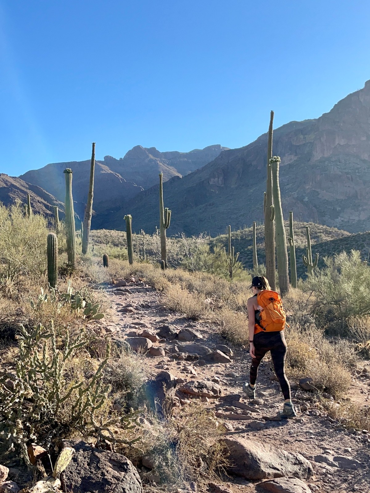 Hieroglyphic Trail in the Superstition Wilderness Area of Tonto National Forest