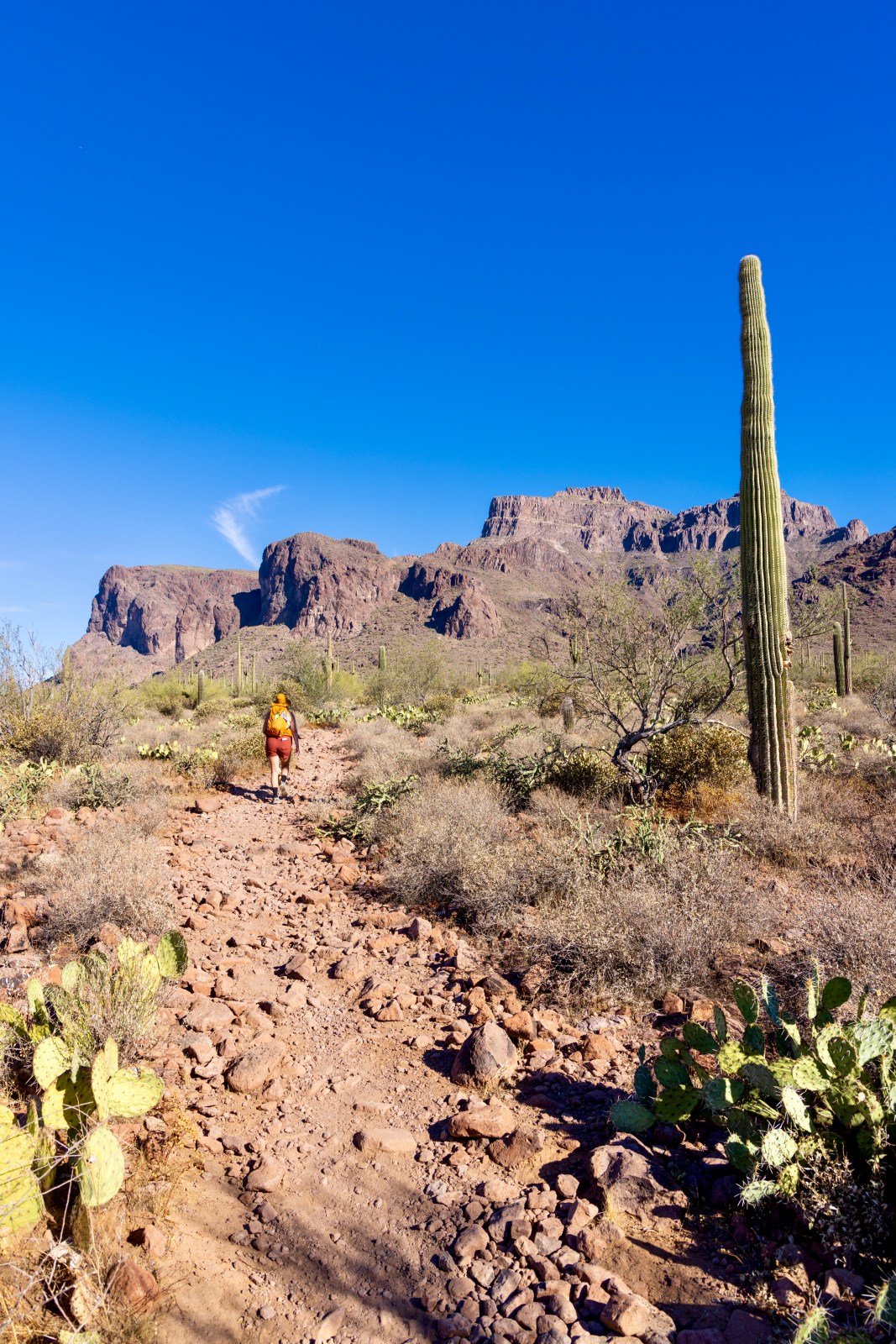 Jacob's Crosscut Trail #58, Tonto National Forest from Broadway Trailhead