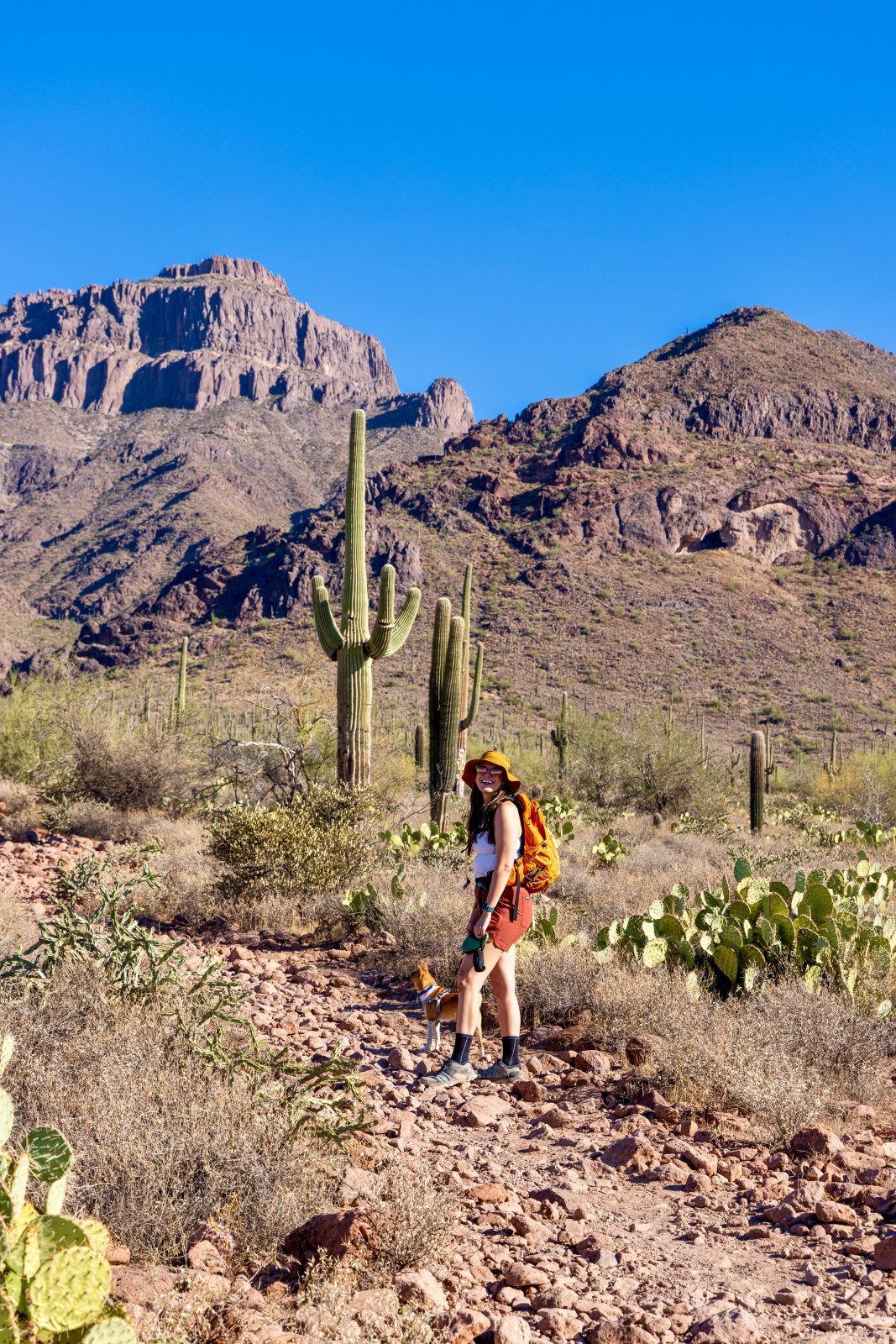 Jacob's Crosscut Trail #58, Tonto National Forest from Broadway Trailhead