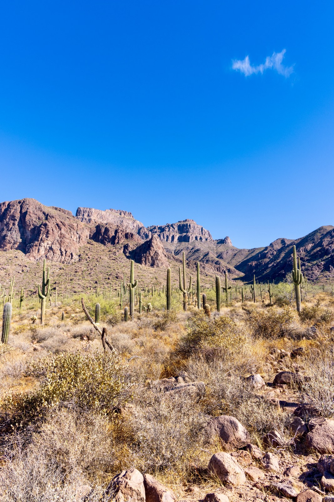 Superstition Mountains seen from Jacob's Crosscut Trail