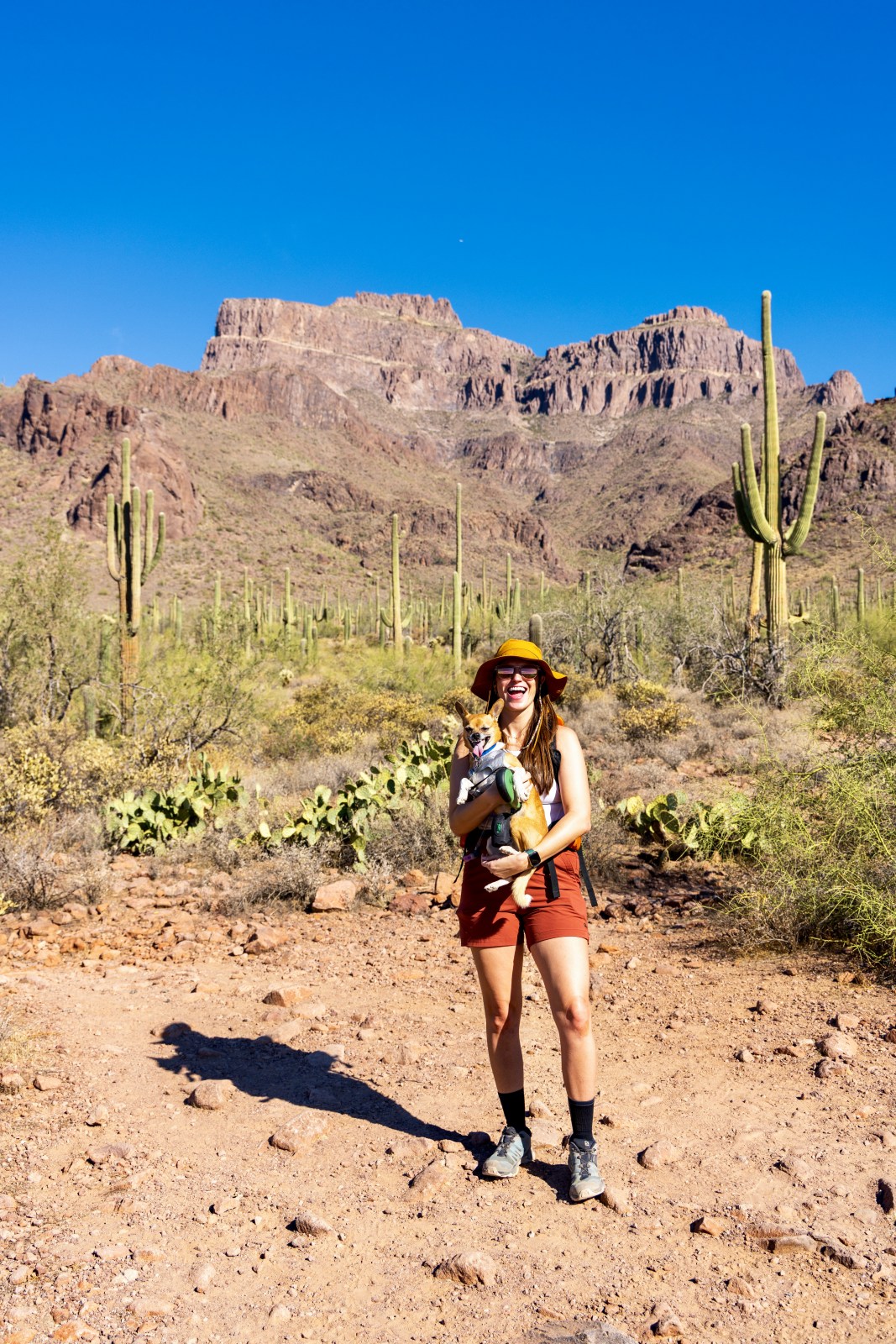 Jacob's Crosscut Trail #58, Tonto National Forest from Broadway Trailhead