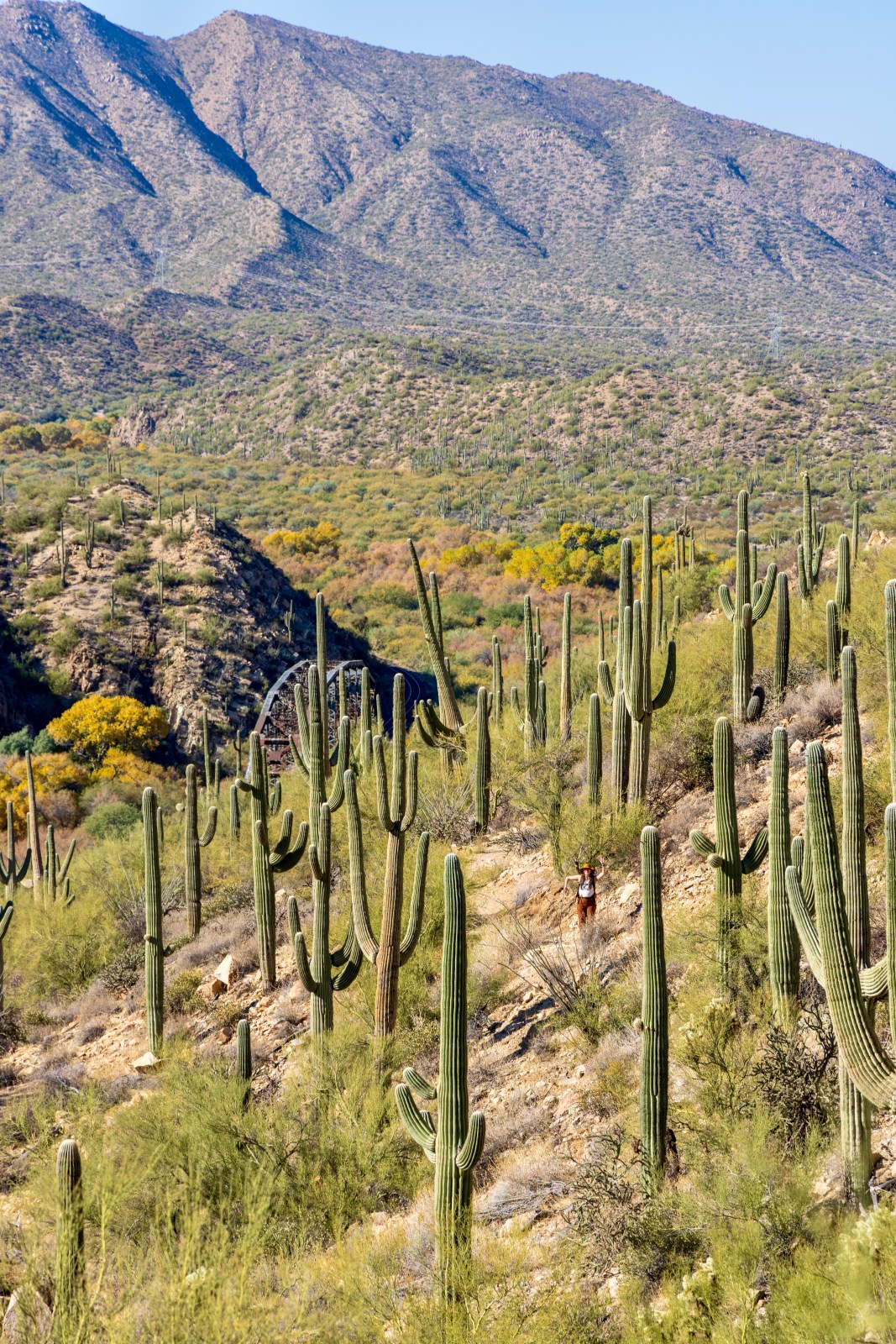 Gila River Canyons hike, Arizona National Scenic Trail Passage 16