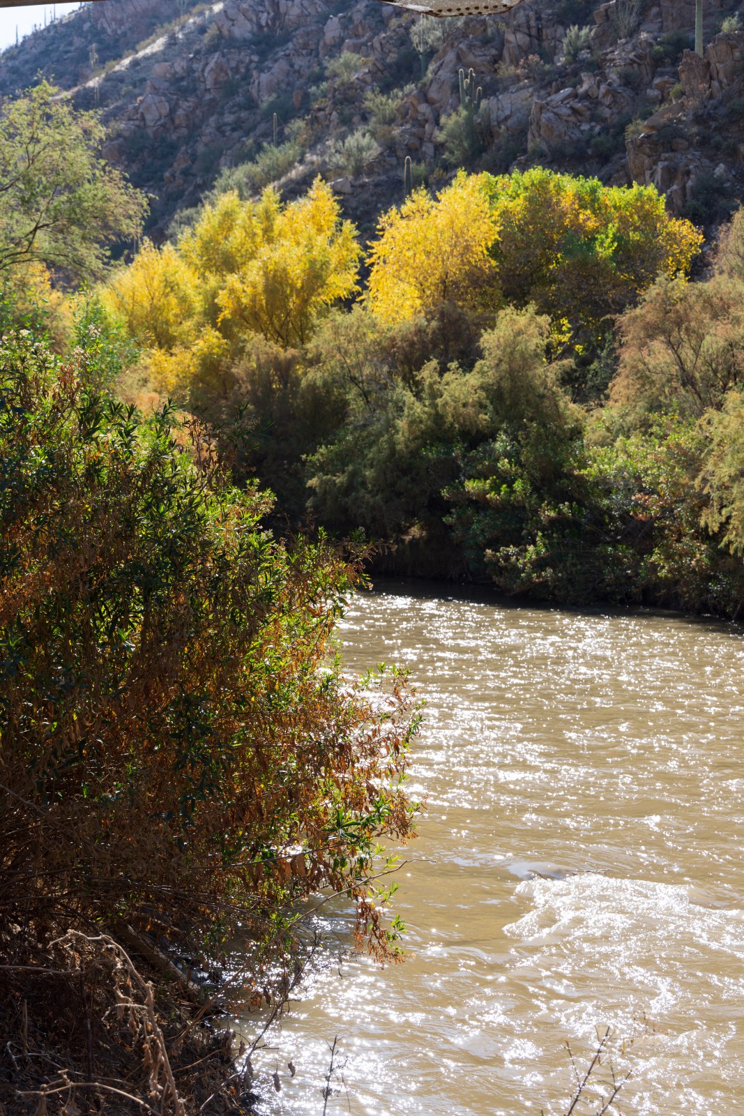 Gila River, Kelvin, Arizona