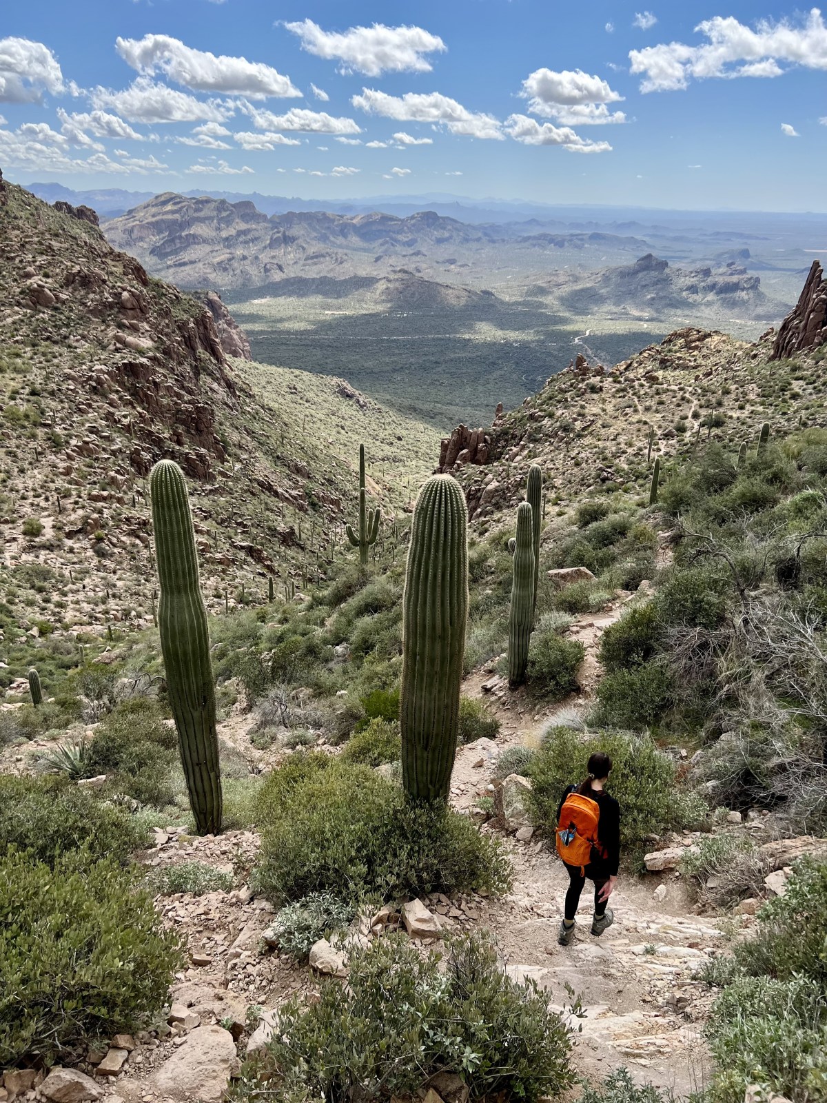 Carney Springs Trail, Tonto National Forest Superstition Wilderness