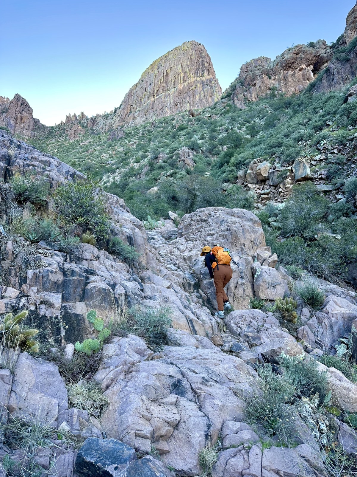Siphon Draw Trail, Tonto National Forest, Superstition Wilderness
