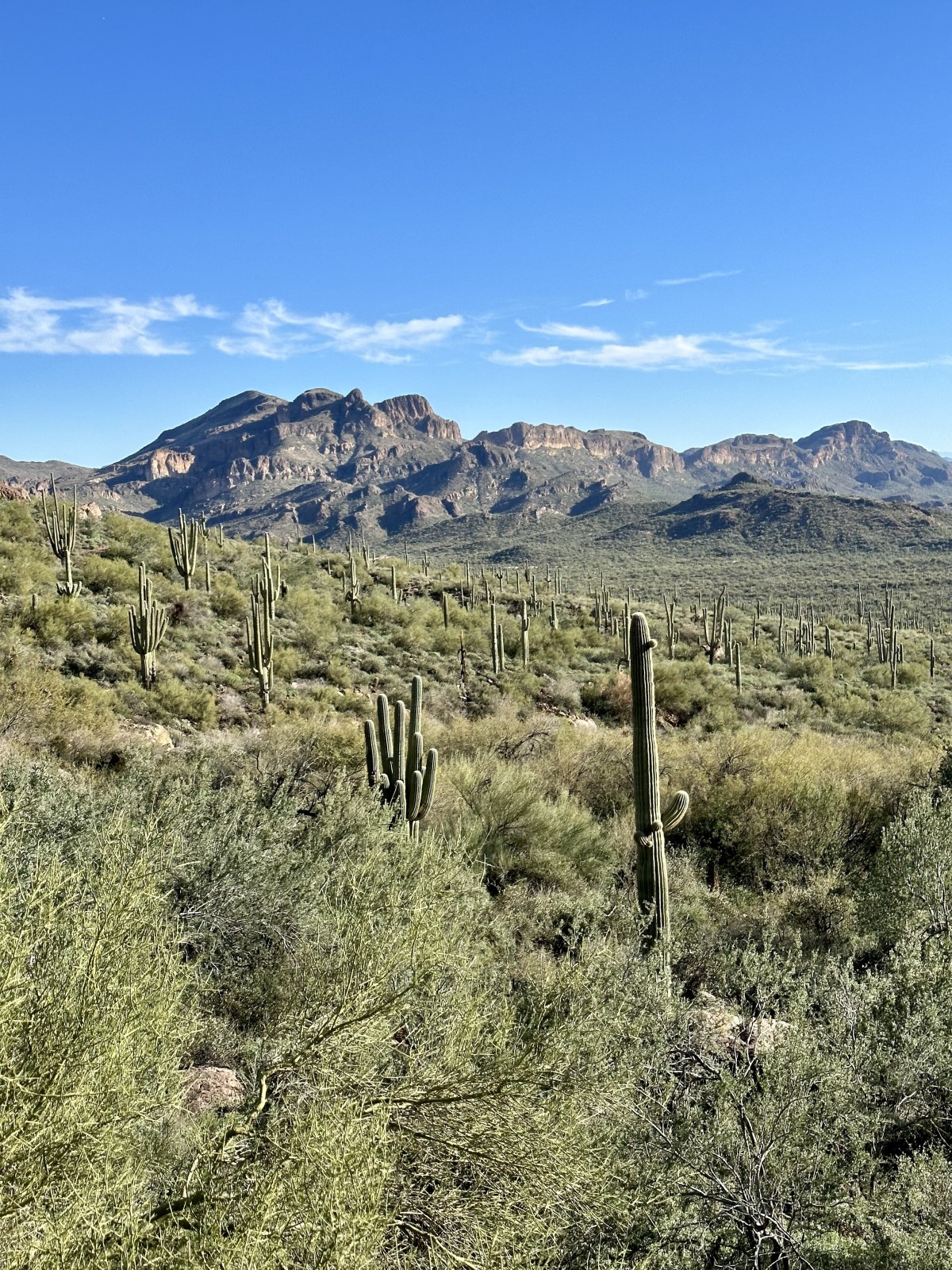 Carney Springs Trail, Tonto National Forest Superstition Wilderness