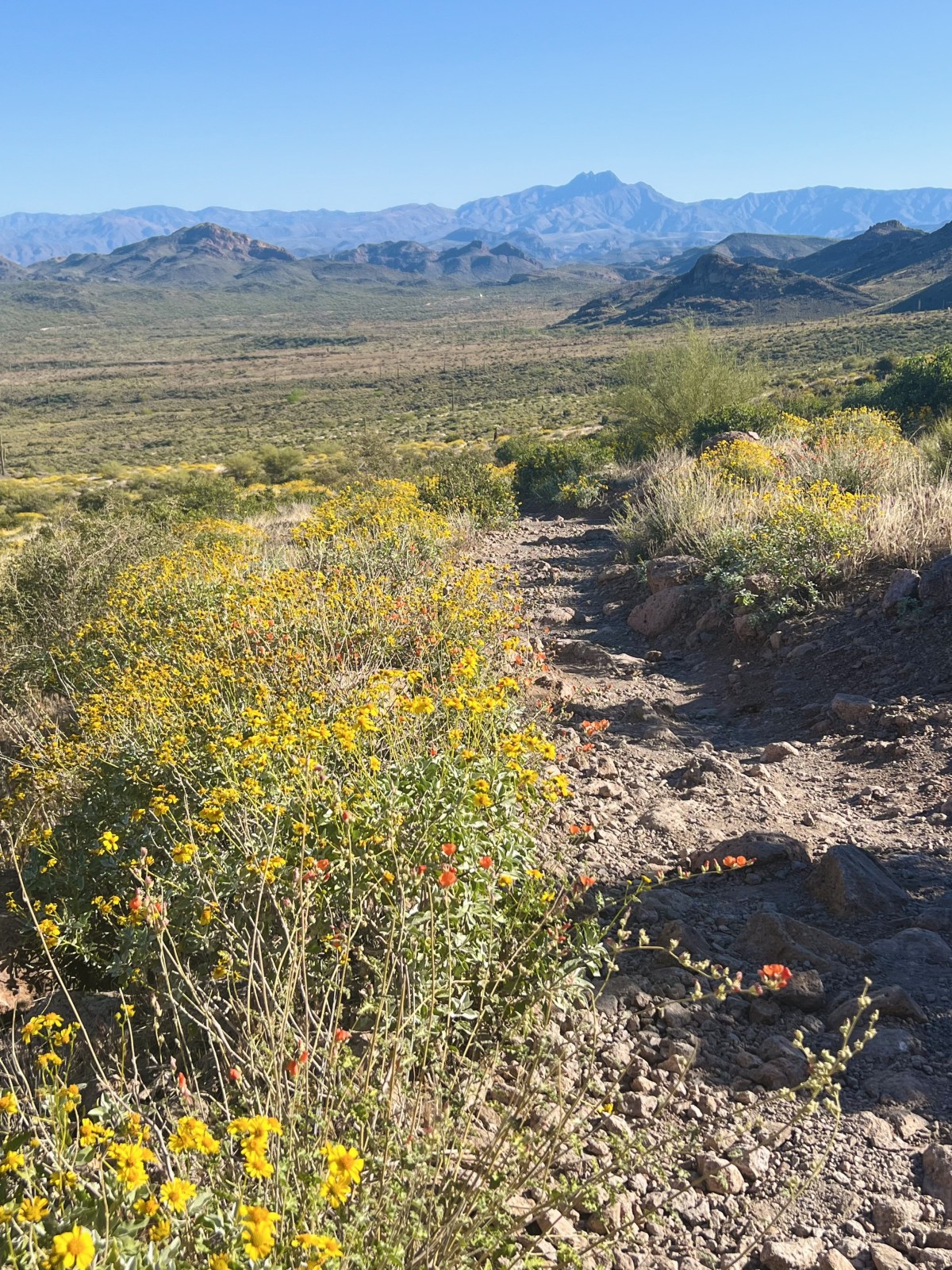 Jacob's Crosscut Trail #58, Tonto National Forest from Crosscut trailhead off First Water Road