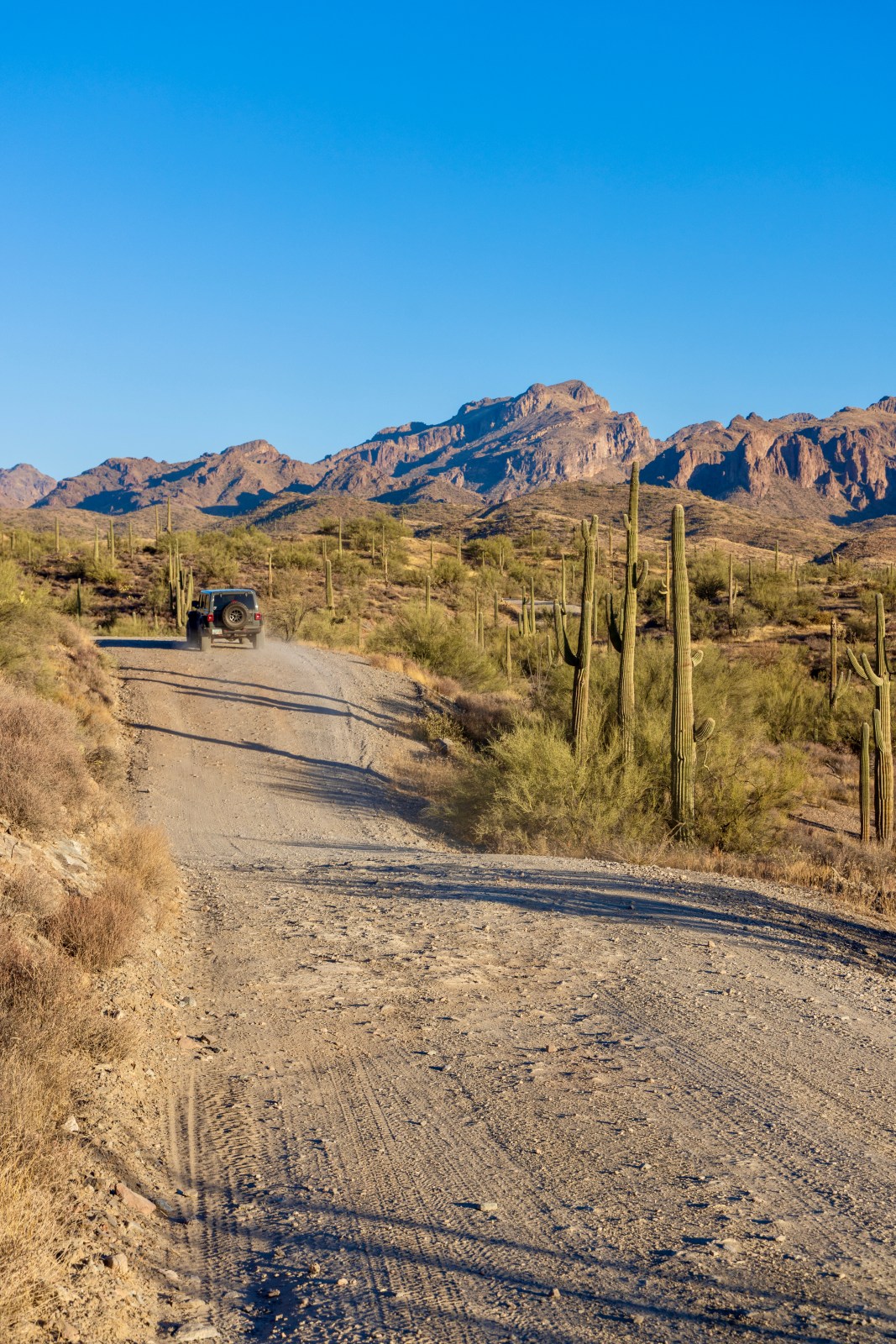 Hewitt Canyon Rd (forest road 172) towards Montana Mountain, Tonto National Forest