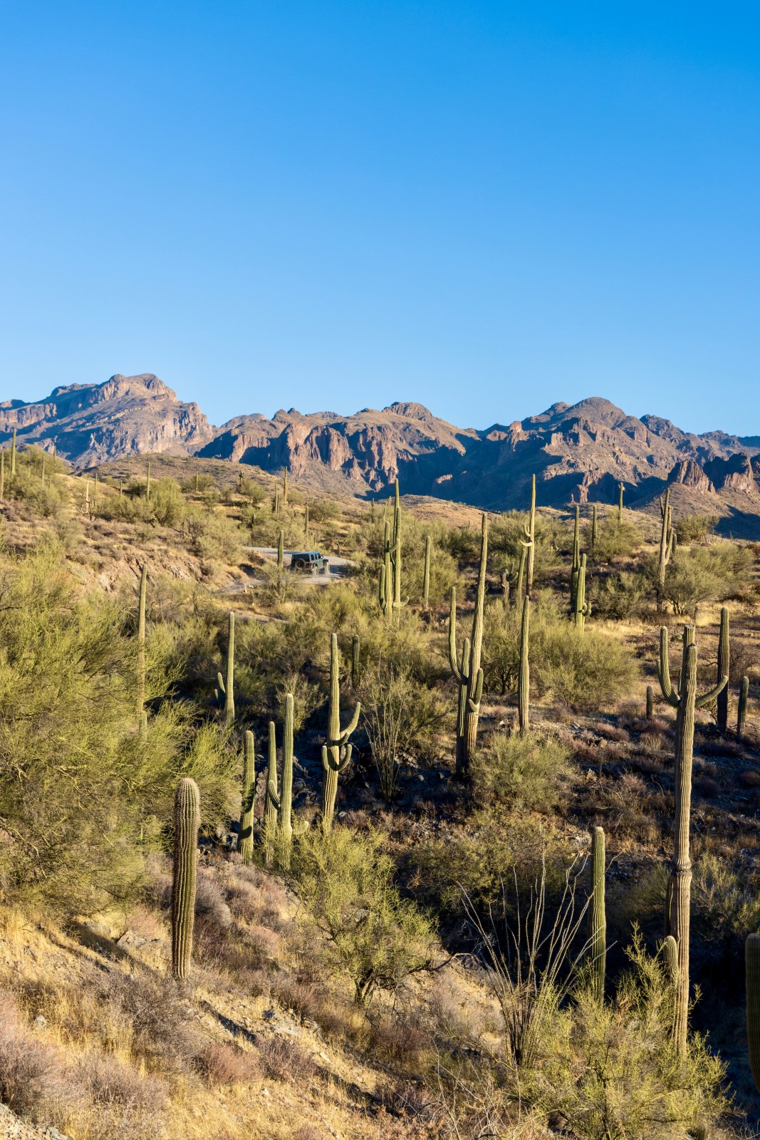 Hewitt Canyon Rd (forest road 172), Tonto National Forest